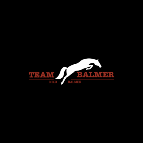 Zur Team Balmer Webseite